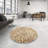 Oriental Indoor Rug-1769641974