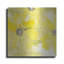 Sunshine Cosmos II par Chris Paschke-1313356041