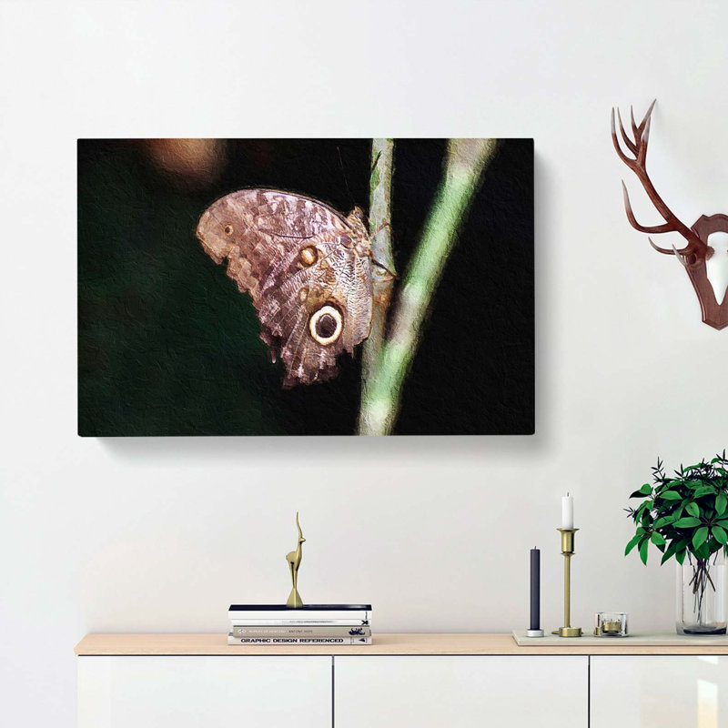 Beauty Of A Butterfly - Wrapped Canvas, 40cm H x 60cm W x 3cm D