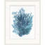 Indigo Seagrass 1 Print