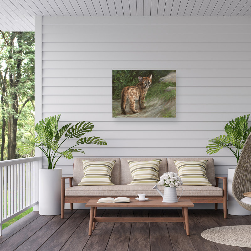 Toile d'extérieur David Stribble Cougar Cub, H 24 po x l 32 po