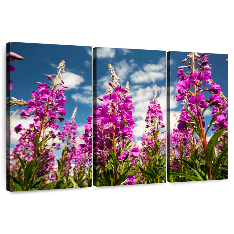 Fireweed Blooms, 20" H x 33" W