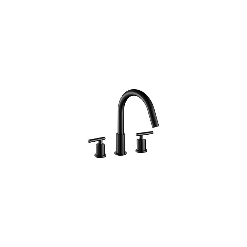 Trova 2-handle Bathroom Faucet with Drain Assembly, Black