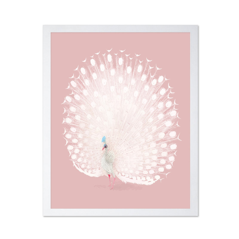 Paon blanc, Affiche, Encadrement blanc, H 08 po x l 10 po