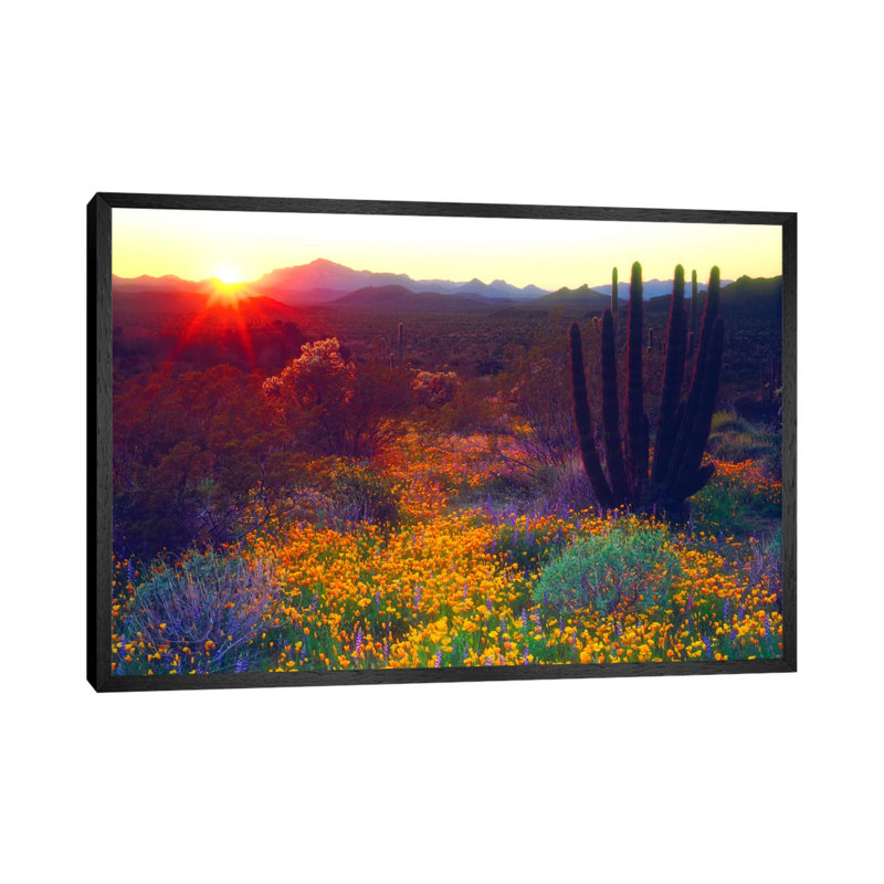 1 Piece Wall Art on Canvas, 152.5 cm H x 101.5 cm W, Black Framed, Black Framed