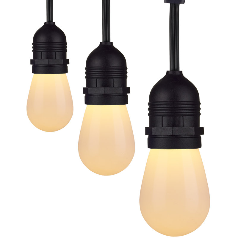 24 pi - 12 lumières S14 - Guirlande lumineuse DEL - Étoile de mer IOT - Blanc accordable