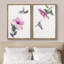 Colibri mauve pastel, fleurs de magnolia, nature sauvage, illustrations, gros plan, chic-101752646-101752647