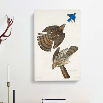 Stanley Hawks by John Audubon - Wrapped Canvas