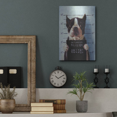 «Mug Shot» par Lucia Heffernan