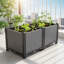 Planter Box-1725345784
