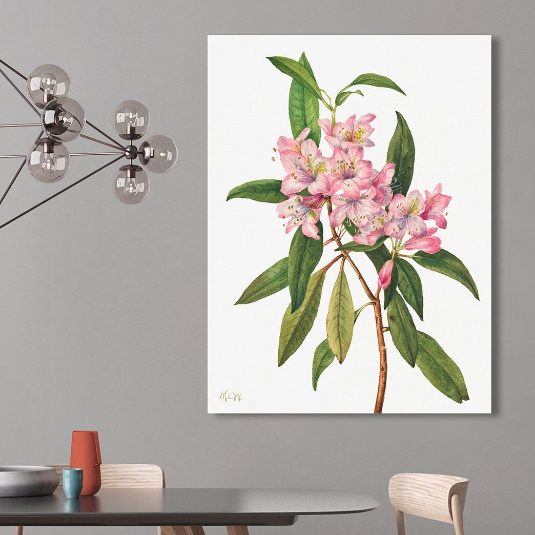 Rose Bay Rhododendron, 1932 von Mary Vaux Walcott - ungerahmtes Gemälde auf Leinwand