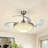 Fedela 42'' Ceiling Fan with LED Lights