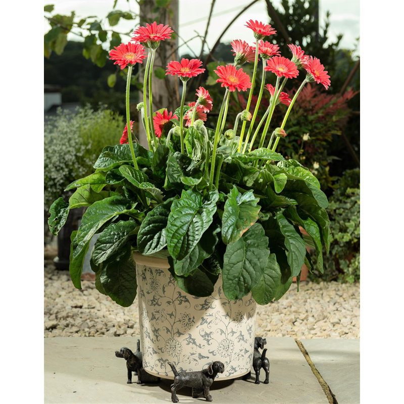 Seraphine Weather Resistant Planter Feet