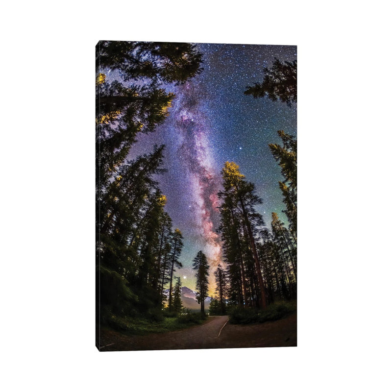 La voie lactée estivale avec des pins dans le parc national Banff, Alberta, Canada., H 26 po x l 18 po x 1,5 po