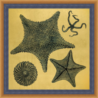 Gold Leaf Starfish 2 Print