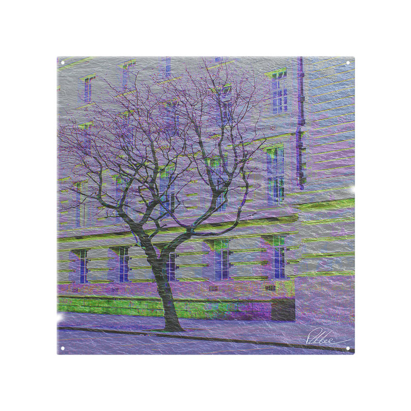 Glass Peel and Stick, 60cm L x 60cm W