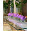 Orchid Floral Arrangement in Planter-1156158566