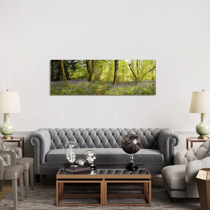 Trees in a Forest, Thursford Wood, Norfolk, England 1 Piece Wrapped Canvas Panoramic Wall Art