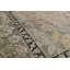 Oriental Area Rug