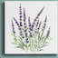 Lavande botanique I - reproduction d'art-2058953233