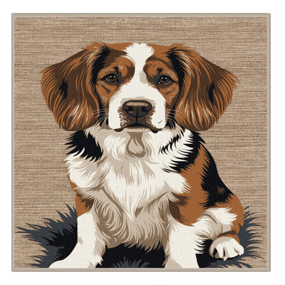  Tapis lavable pour chien Italiano Bracco