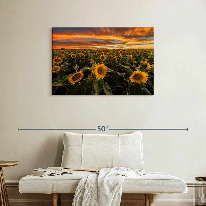 Champ de tournesols d'Alvord, Californie, H 24 po x l 36 po