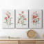 Linen Botanical Coral II - ensemble de 3 reproductions sur toiles tendues-1938327280