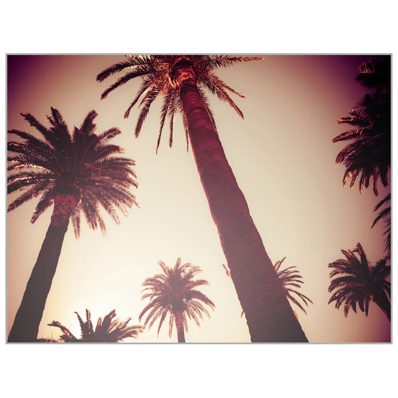 «Dreamy Palms 2» par Mat Sander - photographie sur toile