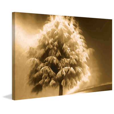 " Enlightened Tree " by Don Schwartz