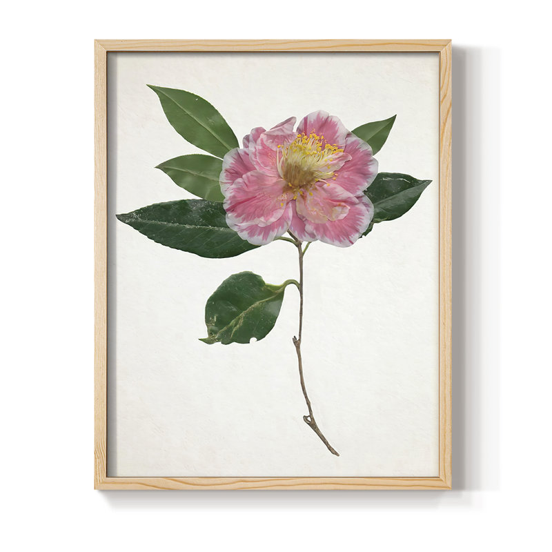Reproduction encadrée pressée en bois massif, H 15 po x l 12 po