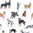 Dog Days - Sketchpad White Wallpaper-127384516-127384519-132483822