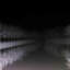 " Tree Tunnel " by Marmont Hill-2141227190