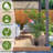 Artificial Areca Palm Plant-135520263