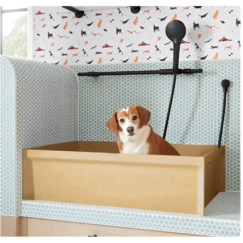 Baignoire de salle de lavage autoportante pour animaux de compagnie, acier inoxydable, calibre 16, 36 po