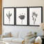 Encre botanique croquis II-457479930-457479932