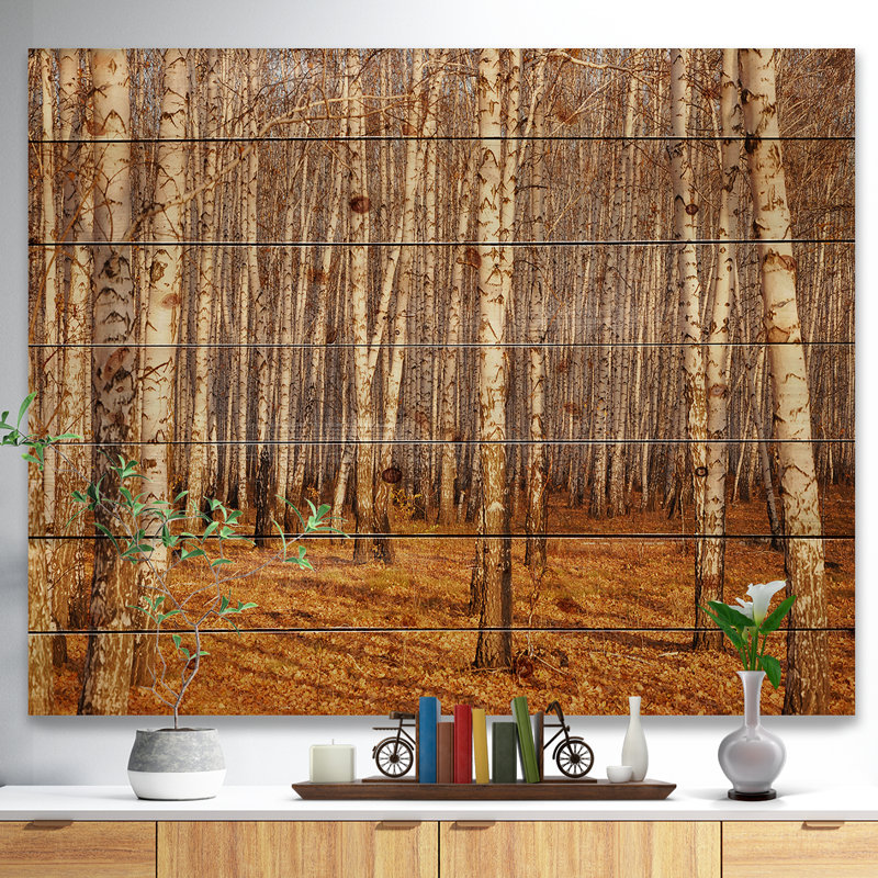 «Dense Birch Forest in the Fall», photographie, H 30 po x l 40 po x P 1,5 po, Bois