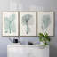 Antique Coastal Coral I, impression sur toile 3 pièces-91887266-91887264