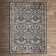 Alessia Oriental Ivory/Gray Area Rug