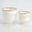 Striped Alabaster Bowl-65151991