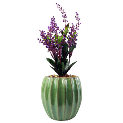 Annistin Arrangement in Planter