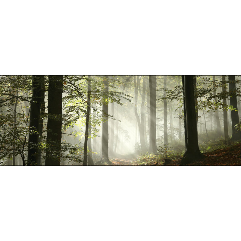 No Frame Print on Glass, 50 cm H x 125 cm W x 1.4 cm D