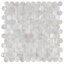 Conchella Penny White 11-1/4" x 11-5/8" Natural Shell Mosaic Tile