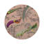 Sauvage 16'' Vinyl Placemat-118589473