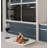 29.75" Self-Cleaning Convection Electric Single Wall Oven with Air Fry Capabilities-48658033