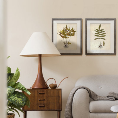 Fougère Botanical II-ensemble de 2 reproductions d’art encadrées sur papier