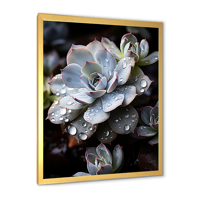 Bleu succulent explosion, Cadre doré simple, H 40 po x l 30 po x P 1,5 po