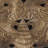 Polystone Carved Skull Cow Bronze Wall Decor