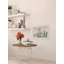 Cactus Bunch - Single Picture Frame Print-1546798342