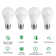 Equivalent E27/Medium (European) 6500K LED Bulb