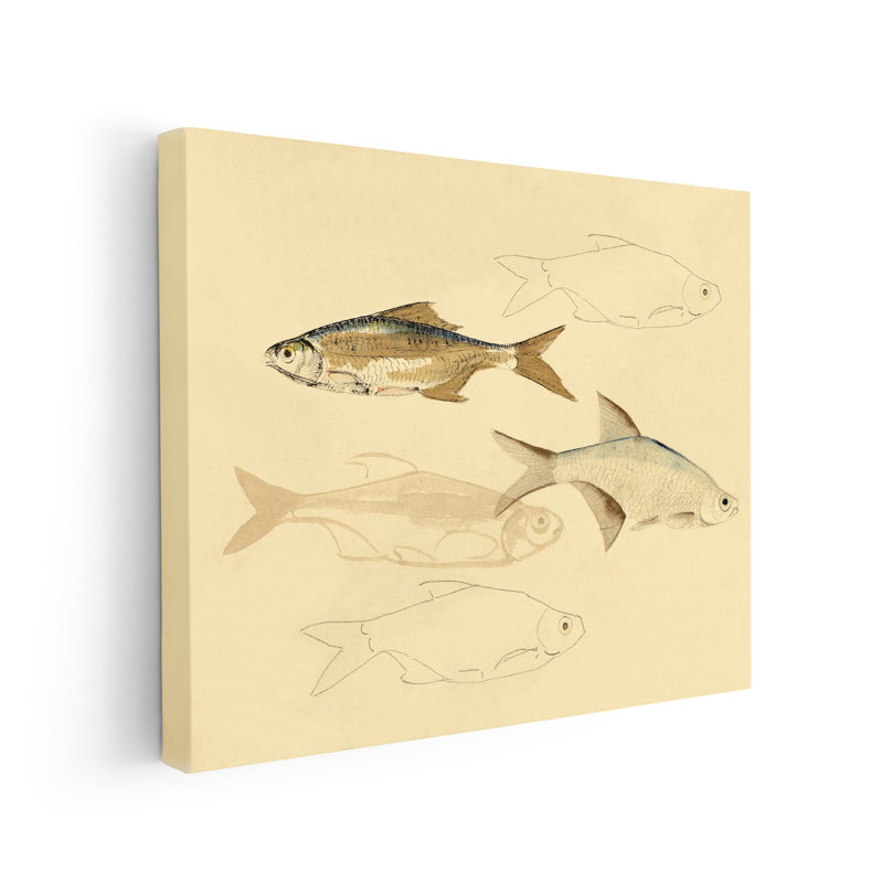 Croquis de poisson, Sans cadre, Canevas, H 24 po x l 32 po